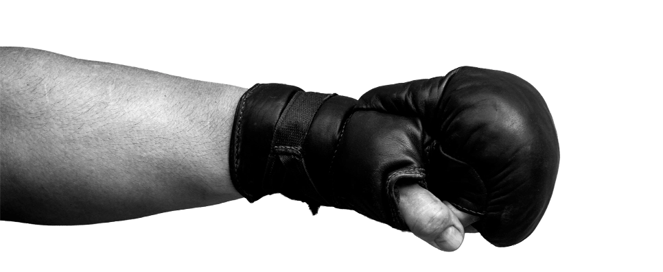 poing MMA 1pact Martiaux